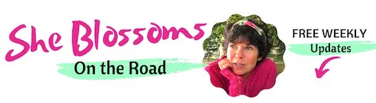 She blossoms on the road Laurie Pawlik Kienlen newsletter