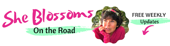 She blossoms on the road Laurie Pawlik Kienlen newsletter